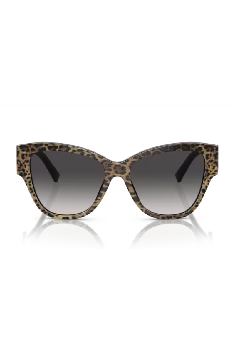 Dolce & Gabbana DG449 Stampa Leopardo Marrone Su Nero