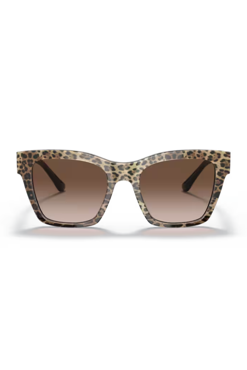 Dolce & Gabbana DG4384 Stampa Leopardo Marrone Su Nero