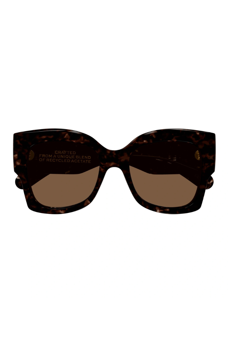 Chloè CH0252S Havana