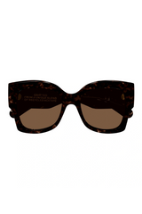 Chloè CH0252S Havana