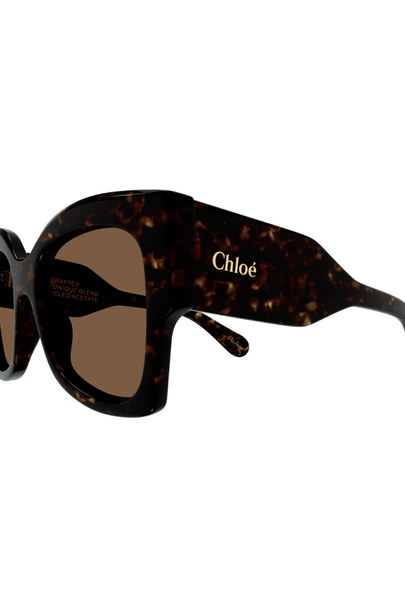 Chloè CH0252S Havana