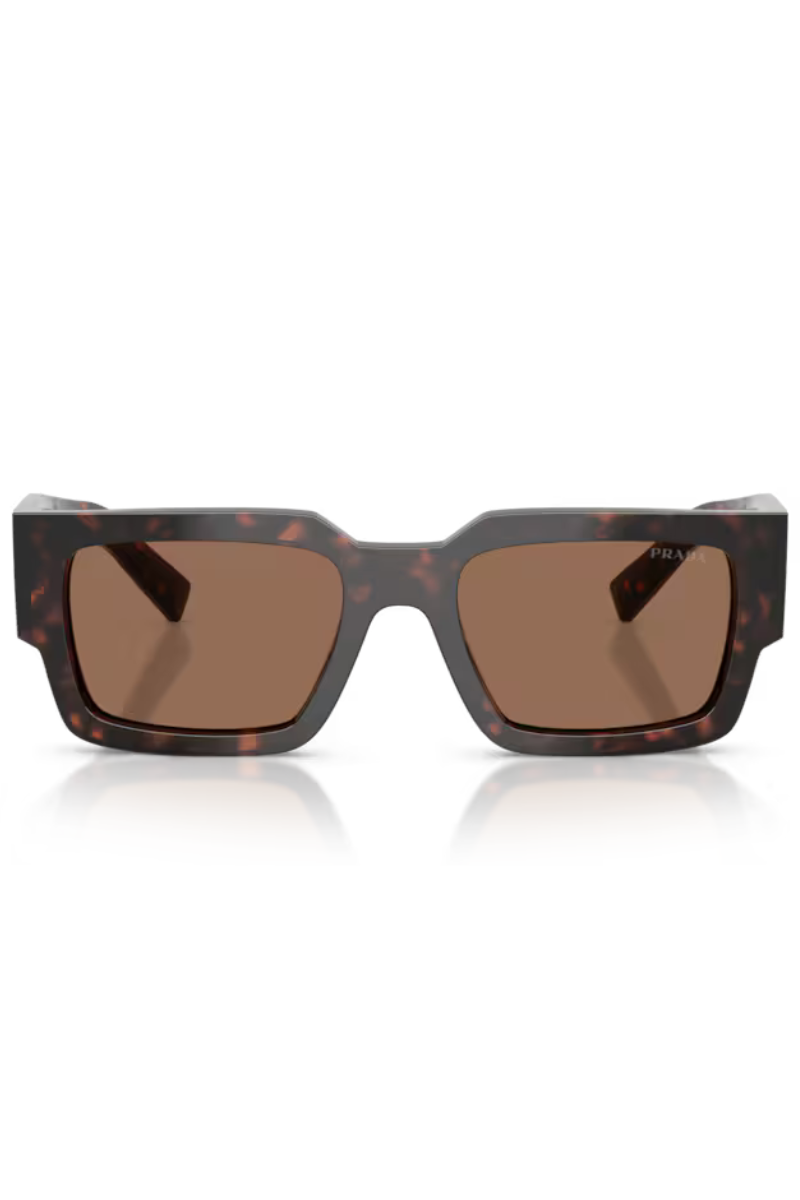 Prada B17S Root Tartarugato