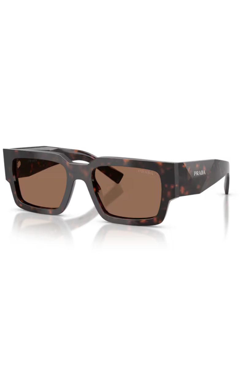Prada B17S Root Tartarugato