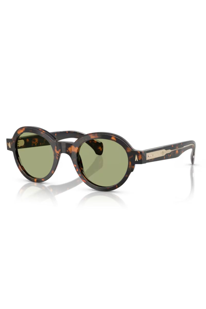 Moncler Rondosa Marrone Verde Havana