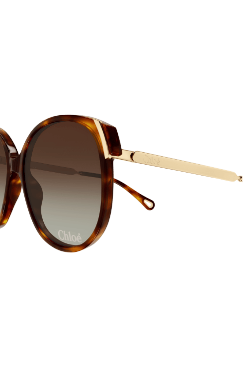 Chloè CH0285S Havana
