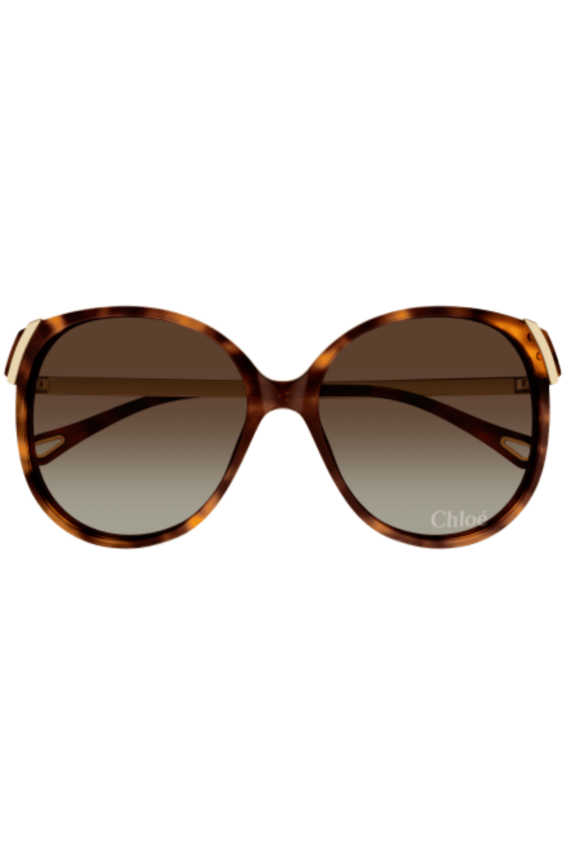 Chloè CH0285S Havana