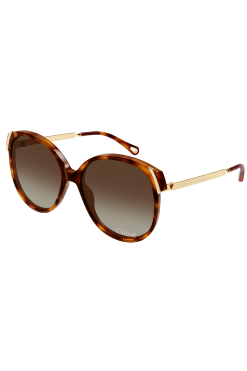 Chloè CH0285S Havana