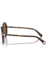 Swarovski 6059 Havana
