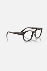 Ray-Ban  RB7227