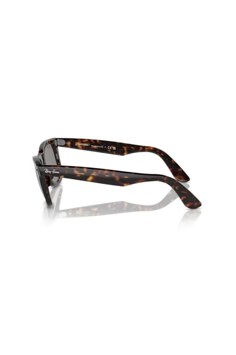 Ray-Ban Waifarer Sole
